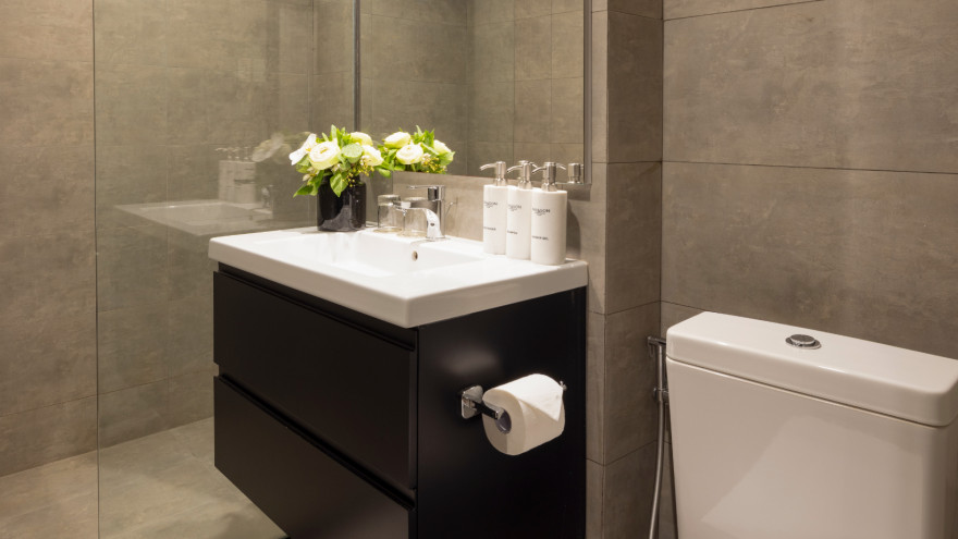 Junior Deluxe Without Windows-2